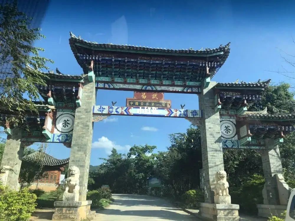 古樹茶年份越老，茶葉就越好嗎？影響茶葉品質(zhì)的因素有哪些？