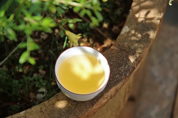 普洱茶越苦澀就代表品質(zhì)越好嗎？