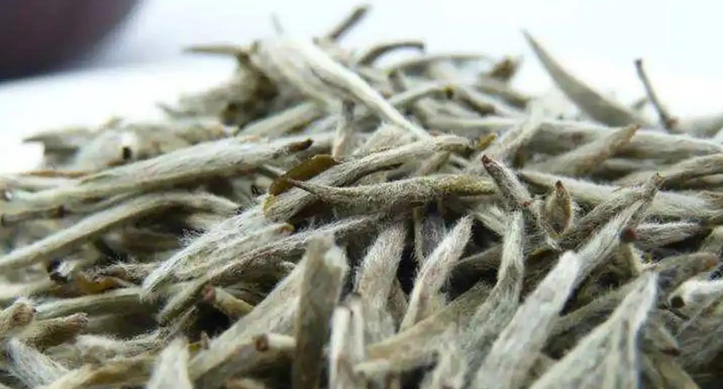 茶毫越多的茶，品質(zhì)就越高嗎？