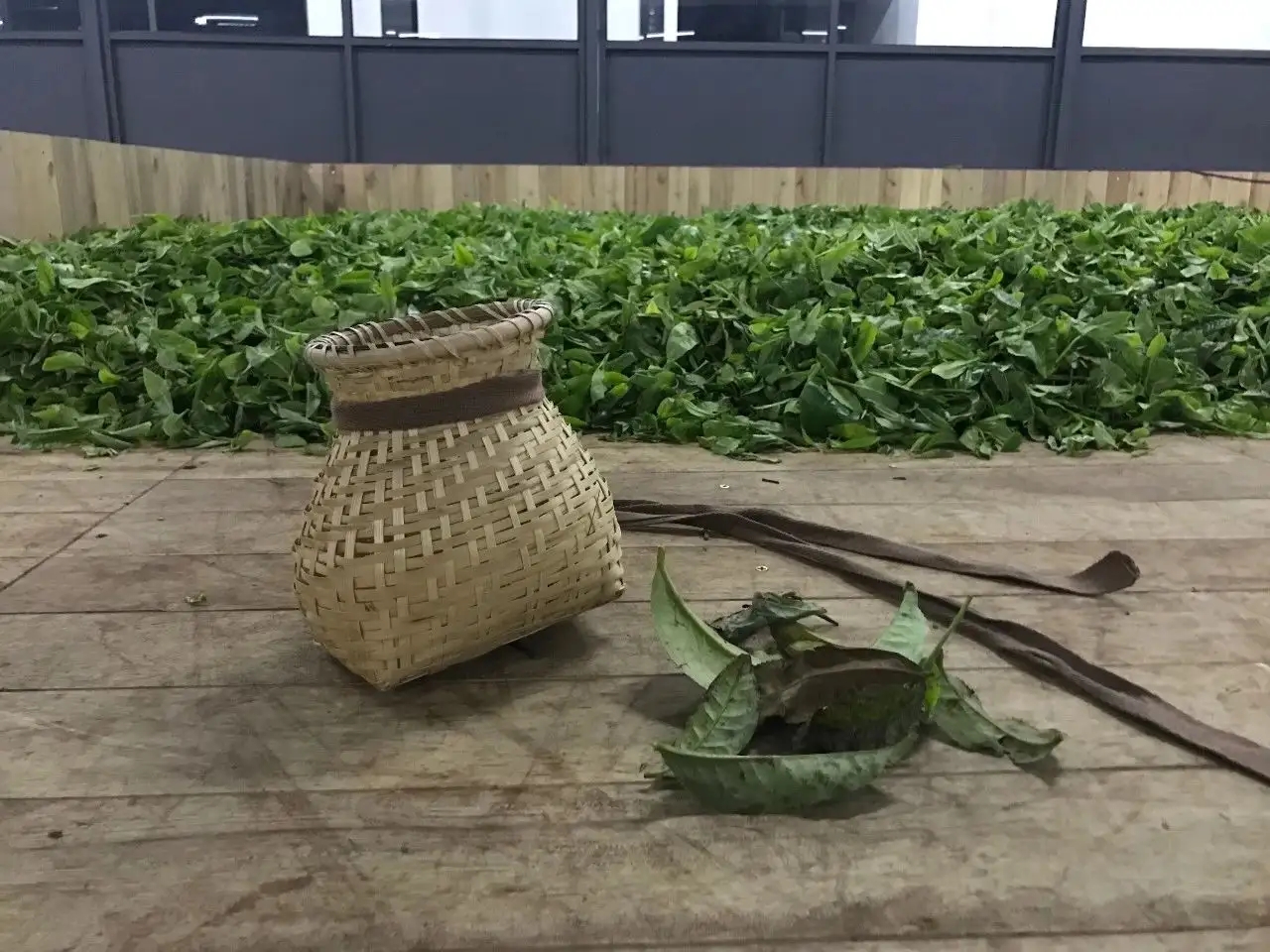 普洱茶，如果不談山頭，我們談什么？