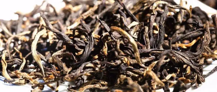 什么是茶氣？茶氣強勁又是一種怎樣的體驗？