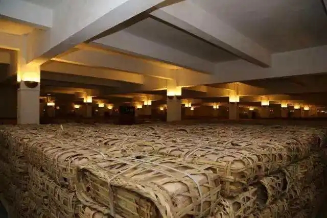 云南古樹(shù)普洱茶好在哪？相比小樹(shù)茶、臺(tái)地茶有何不同？