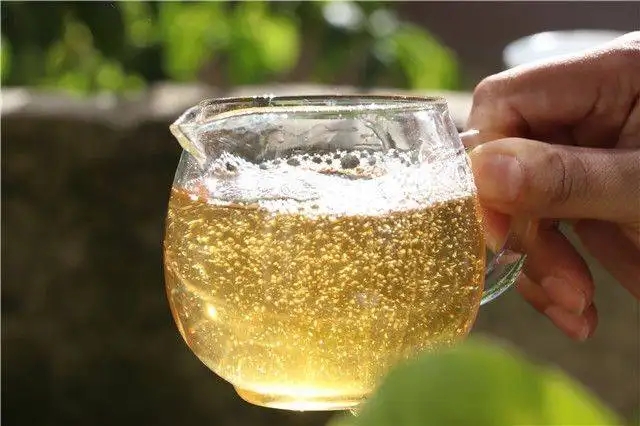 茶顏觀色”，看普洱茶條索里都蘊(yùn)含著怎樣的“密碼”？