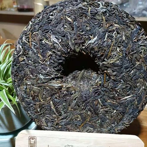 勐庫茶到底是個啥味道？