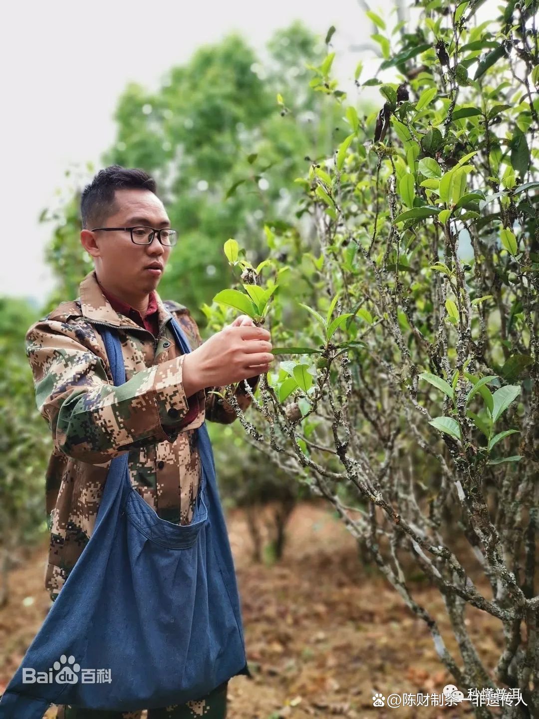 cb3ab1dfdde2114aa5dad24b830c6d96