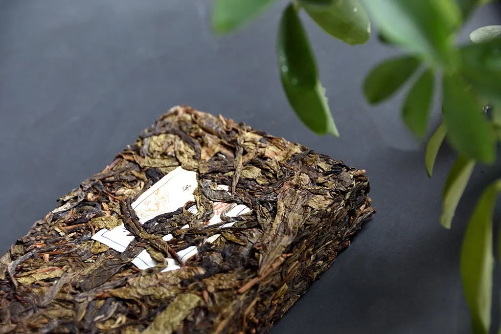 普洱茶古樹(shù)黃片，性價(jià)比超高的口糧茶，有骨有肉香甜順