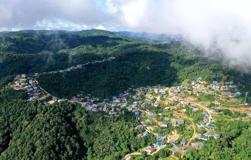 2023年帕沙古樹春茶口感怎么樣？