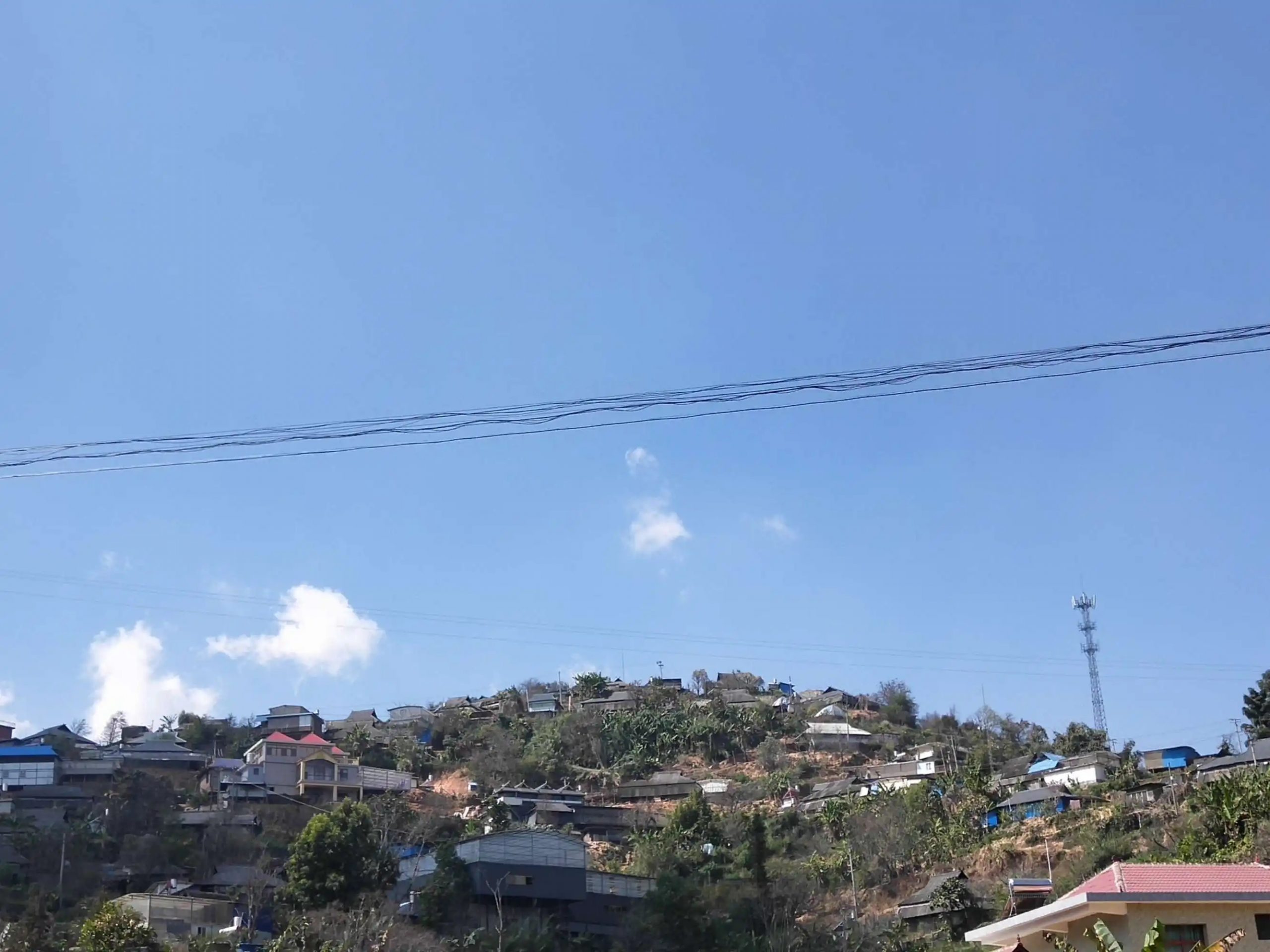 2023帕沙古樹春茶特點(diǎn)是什么？