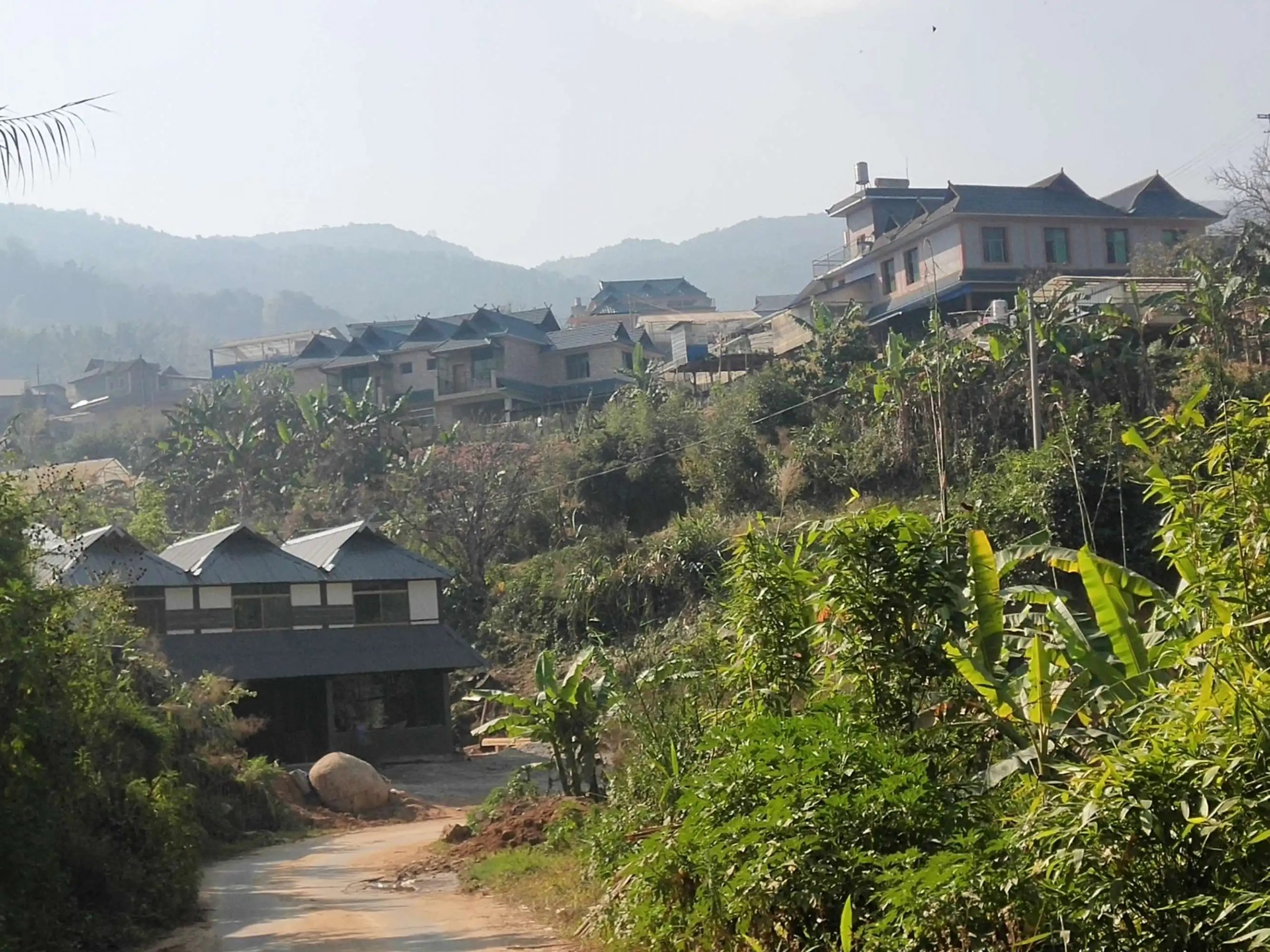 2023年帕沙古樹(shù)春茶價(jià)格多少錢？