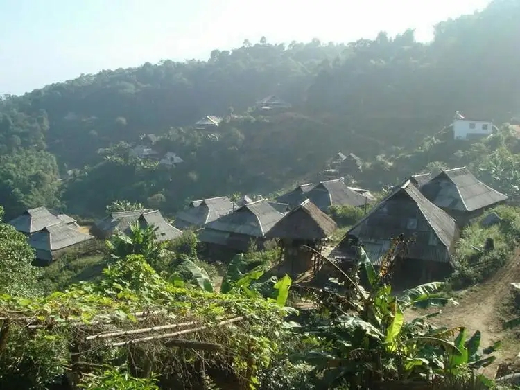 2023年帕沙古樹春茶多少一公斤？