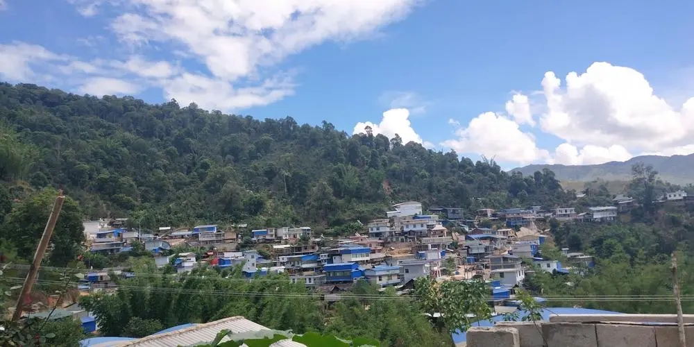 2023年那卡古樹(shù)春茶品質(zhì)如何？