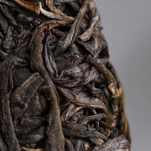 2023年迷帝古樹春茶價格是多少？