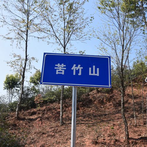 2023年苦竹山古樹春茶品質(zhì)如何？