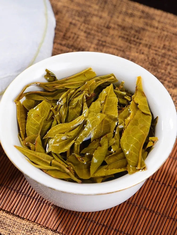 2023白鶯山古樹春茶特點是什么？