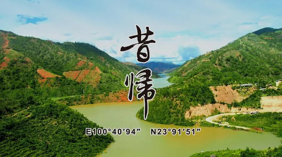 2023年昔歸古樹春茶品質(zhì)如何？