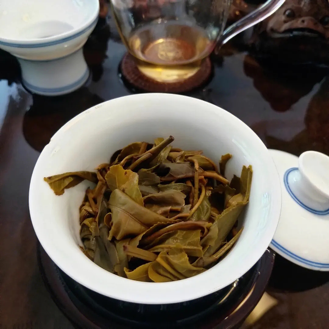 2023年昔歸古樹(shù)春茶口感如何？