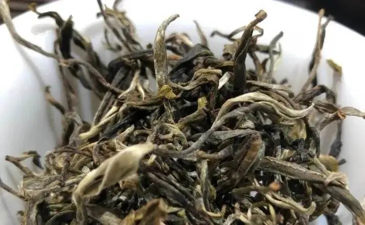 2023年鳳凰窩古樹春茶多少一公斤？