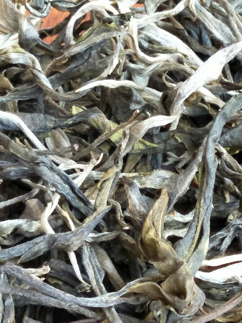 2023年壩歪古樹春茶價(jià)格是多少？