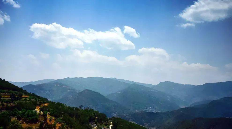 2023年勐庫大忠山古樹春茶價(jià)格是多少？