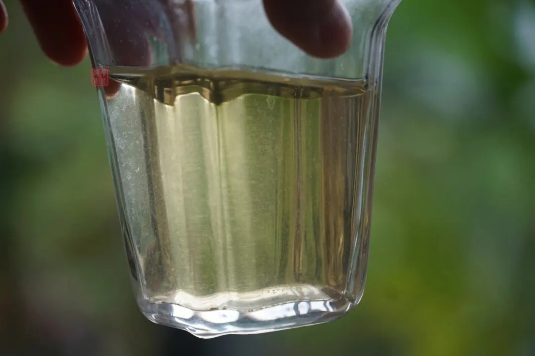 2023年多依樹古樹春茶價格是多少？