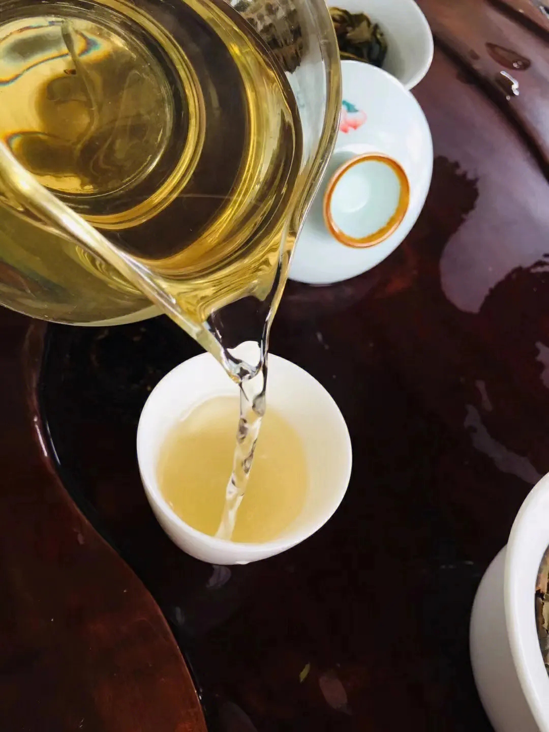 2023年鎮(zhèn)沅老海塘古樹(shù)春茶價(jià)格是多少？