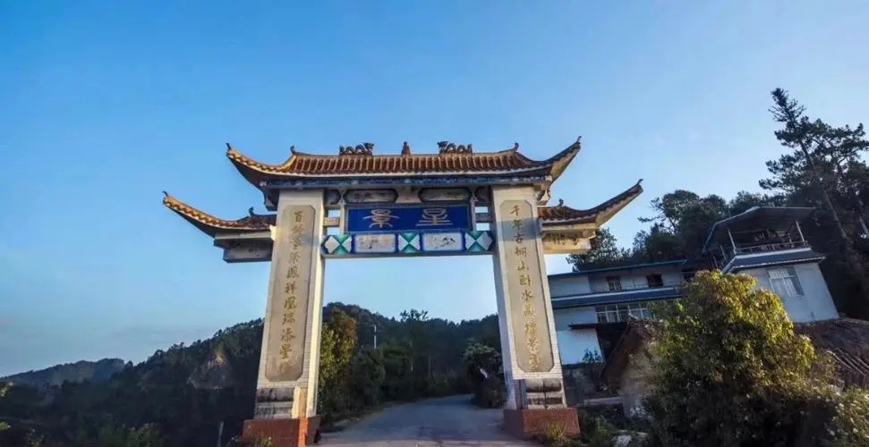 2024年墨江鳳凰窩古樹春茶特點是什么？