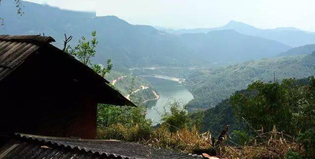 2024年磨烈古樹春茶價格多少？