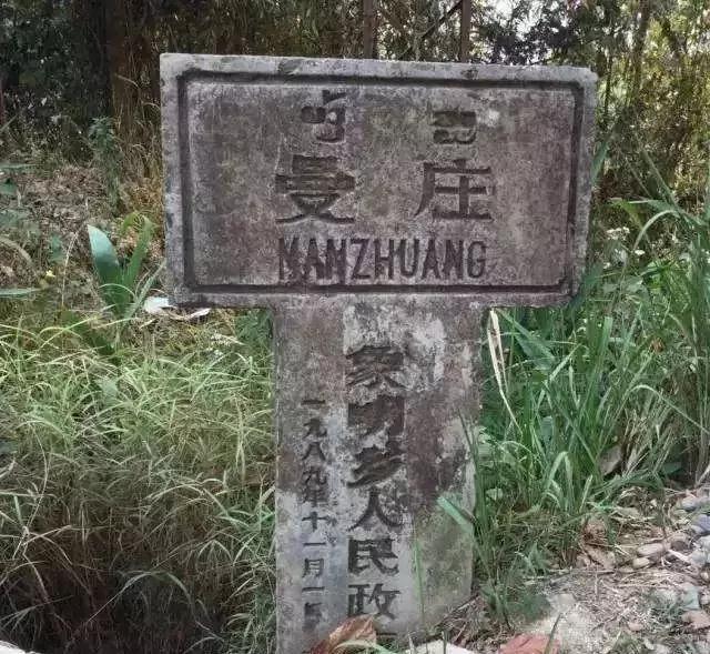 2025年蠻磚古樹春茶價(jià)格是多少？