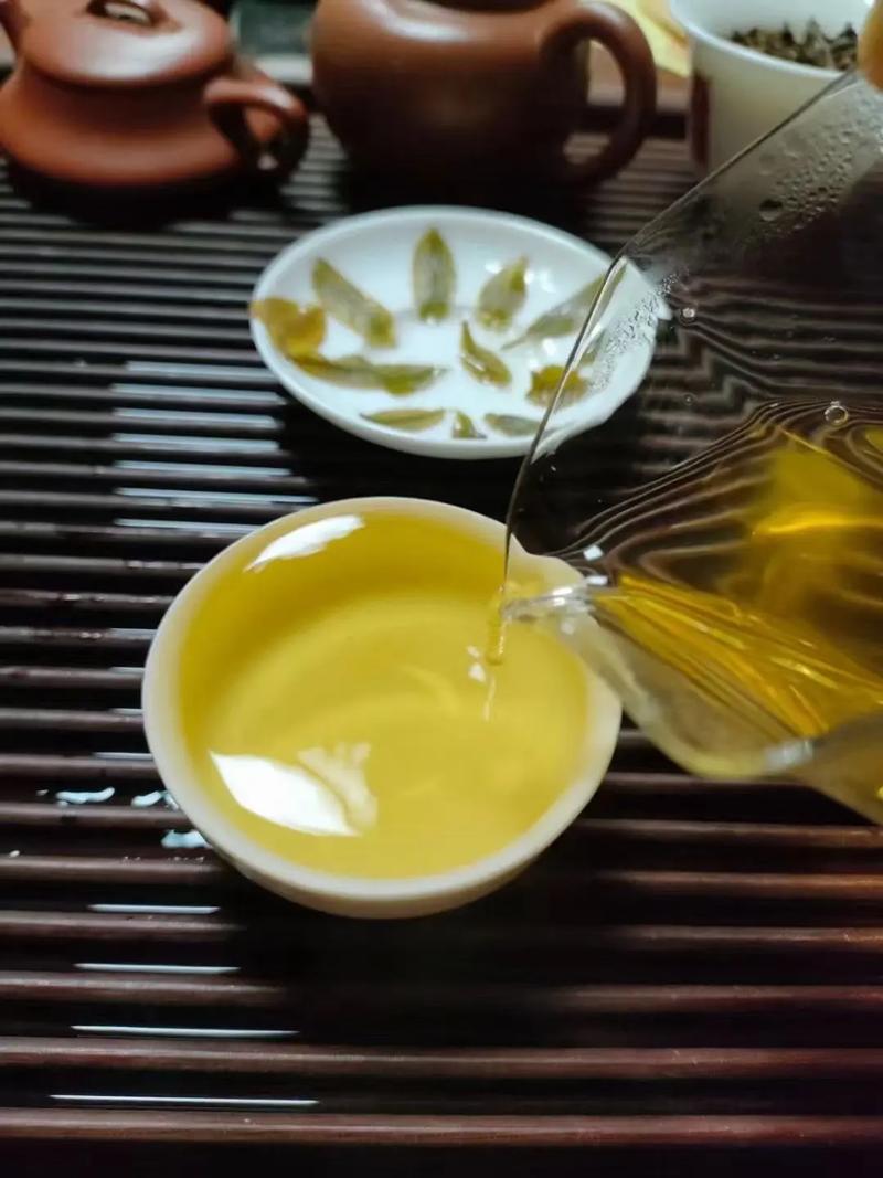 倚邦貢茶，甘甜醇柔